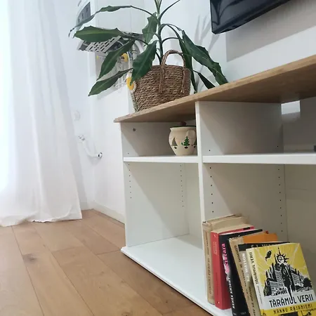 Tana D'avia Bucureşti