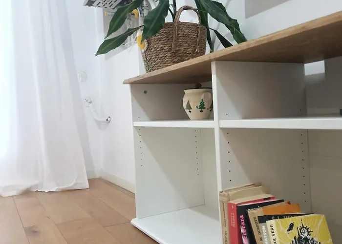 Tana D'avia Bucureşti